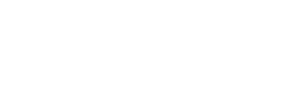 TNW logo white